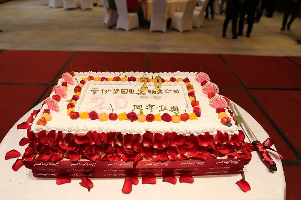 憶往昔崢嶸歲月 展未來催人奮進(jìn)——熱烈慶祝索伊電器銷售公司成立20周年 憶往昔崢嶸歲月 展未來催人奮進(jìn)——熱烈慶祝索伊電器銷售公司成立20周年